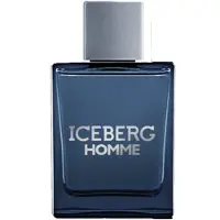 Iceberg Homme Edt Vapo 100 ml
