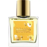 Miller Harris DANCE Eau de Parfum: Citrusfrisse, groene parfum, 100 ml