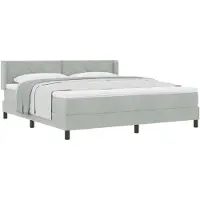 vidaXL Boxspring bed met hoofdeinde Lichtgrijs 200 x 180 cm Fluweel