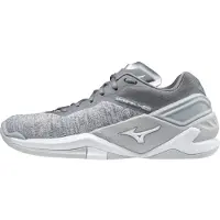 Mizuno Wave Stealth Neo handbalschoenen dames Kleur: wit/grijs, Maat: 41