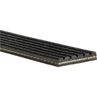 Gates Multiriem 6PK1555 Gates voor o.a. AUDI, BMW, CHEVROLET, FORD, MASERATI, OPEL, PORSCHE, ROVER, SAAB, VOLVO