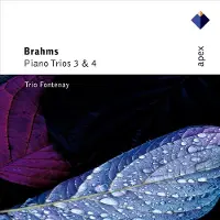 Warner Music Piano Trios 3 and 4 (Trio Fontenay)