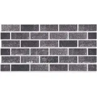vidaXL Wandpanelen 10 st 100 x 50 cm Zwart en Grijs EPS-schuim