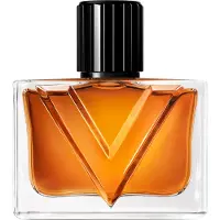 Valentino Vendetta Uomo - Eau de Parfum 50 ml