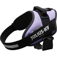Julius-K9 IDCPowertuig, L - maat 1, paars