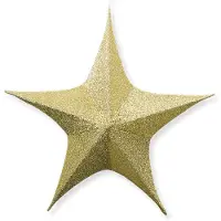 Décoris Kerstster | | Ø 80 cm (5-punts, Binnen, Goud)