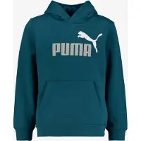 Puma ESS 2 Color No. 1 Logo kinder hoodie blauwgroen maat 164/170