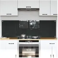 vidaXL Keukenachterwand 2 st Donkergrijs 80 x 50 cm gehard glas