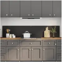 vidaXL Keukenachterwand 2 st Zwart 100 x 40 cm gehard glas