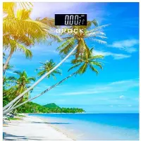 Brock Digitale Personenweegschaal met Tropische Strandprint – 30×30 cm – 180 kg – LCD Display – Automatische Inschakeling – Inclusief Batterijen