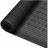 vidaXL Privacynet 75 g/m² 1,2x10 m HDPE antracietkleurig