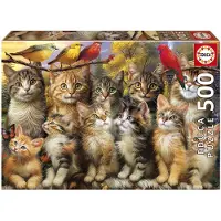 Educa legpuzzel katten en vogels 500 stukjes dieren puzzel.