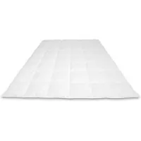 Cassenz DA VINCI Dekbed | 100% Mazurische ganzendons | Tencel/zijde tijk | Zomer - warmteklasse 4 - 155/200cm - 210gr.