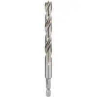Bosch Houtspiraalboor, 1/4" zeskantschacht 10 x 87 x 133 mm 1st - 2608595524