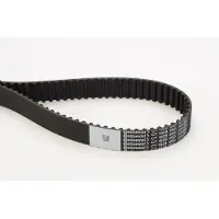 CONTITECH Tandriem CT1028 Contitech voor o.a. AUDI, FORD, SEAT, SKODA, VOLKSWAGEN