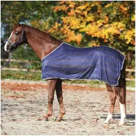Kavalkade Paardenvliegendeken Stripe