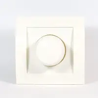 Tradim 230V muurdimmer voor halogeen & gloeilampen 35-300W – Incl. afdekplaat en dimmerknop | 2331