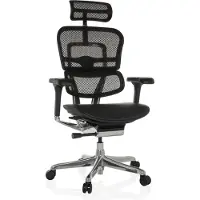 Hjh OFFICE Bureaustoel / directiestoel ERGOHUMAN GEN2 zitting leder / rugleuning netbespanning zwart
