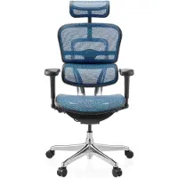 Hjh OFFICE Bureaustoel / directiestoel ERGOHUMAN ULTRA GEN2 Netstof blauw