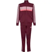Adidas Trainingspak 'Seasonal Essentials Tiberio' oudroze / neonroze / bordeaux