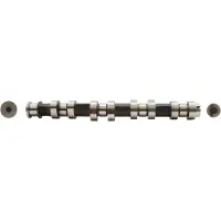 AE CAM917 Nokkenas