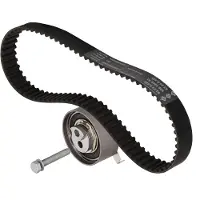 INA Distributieriemset 530048110 Ina voor o.a. AUDI, VOLKSWAGEN
