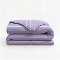 Fresh & Co Lazy Dekbed Zonder Overtrek Poplin - Paars 200 x 200 cm