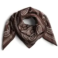 Pieces Pcjolanda Sjaal Dames Bruin ONE SIZE