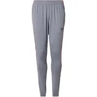 Under Armour Sportbroek 'Challenger' basaltgrijs