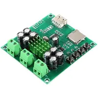 Typecat XH-M422 -Versterkerkaartmodule TPA3116D2 Geïntegreerde F-Kaart Afspeelversterkerkaart Dubbele 50W-Module
