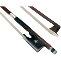 Dörfler 7 in 1 Ultieme Electrische Gitaar Accessoire Pakket - Capo - 6 Plectra - Stickers - Stemapparaat - Plectrumhouder - Guitartool - Straplock ringen