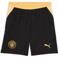 Puma Sportbroek 'MCFC' honing / zwart
