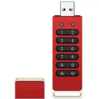 Torribaly Beveiligde USB-Drive, 128 GB Gecodeerde USB-Flashdrive Hardwarewachtwoord Memory Stick met Toetsenbord USB 3.1 Disk Flash