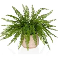 Hjh OFFICE Kunstplant / potplant PROLIFERUM varen 35 cm kunststof groen