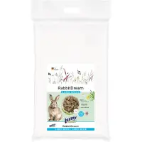 Bunny Nature Rabbit Dream Large Breed