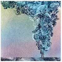 Konkurrent Daughn Gibson - Carnation (LP)