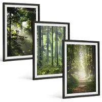 Tulup 4-Delige Schilderij Set - Groene bossen met zonnestralen en een bospad - 40 x 60 cm - Wanddecoratie - Muurdecoratie - Moderne Interieurdecoratie