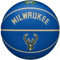 Wilson Basketbal