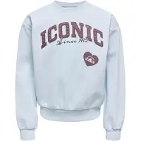 ONLY KIDS GIRL sweater met print - lichtblauw Meisjes Katoen Ronde hals - maat 146/152