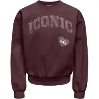 ONLY KIDS GIRL sweater met print - bruin Meisjes Katoen Ronde hals Printopdruk - maat 134/140