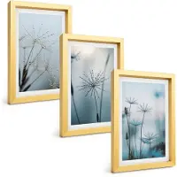 Tulup 4-Delige Schilderij Set - Fijne paardenbloemen met waterdruppels - 20 x 30 cm - Muurdecoratie - Wanddecoratie - Hal - Decoratieve Schilderijen
