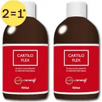 Natural Energy Cartilo Flex | Kraakbeen - Glucosamine - MSM - Heermoes 2x500 ml Vloeistof