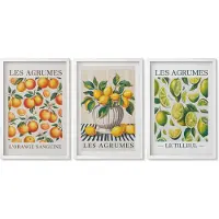 Wallfluent 3-Delige Schilderij Set - Citrusvruchten In Diverse Kleurrijke En Verse Varianten - 40 x 60 - Wanddecoratie - Schilderijen Set - Kantoor - Moderne Wanddecoratie