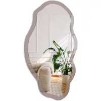 Coloray Asbruin Spiegel - Roze Rechthoekige Spiegel Voor Interieur - Organische Spiegel - Slaapkamer, Woonkamer, Kantoor - Minimalistisch - 45x90 cm - Totale afmeting 52x97 cm