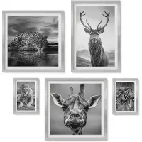 Wallfluent 4-Delige Schilderij Set - Dieren in zwart-wit uit de natuur en het wild. - 50 x 50 cm, 20 x 30 cm en 40 x 60 cm - Muurdecoratie - Decoratieve Schilderijen - Wohnzimmer
