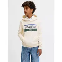 JACK&JONES JUNIOR Junior Sweatshirt 'JORFrederiksberg' blauw / spar / zwart / wit
