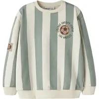 Name it Sweatshirt 'NMMLane' chocoladebruin / mintgroen / wit