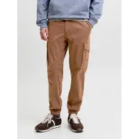 Jack & Jones Cargobroek 'JJIPaul JJFlake' bruin