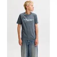 Jack & Jones Junior Shirt 'JJTOM' lichtblauw / grijs / wit