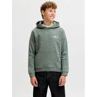 Jack & Jones Jornorrebro typo back sweat hood sn jnr olijf